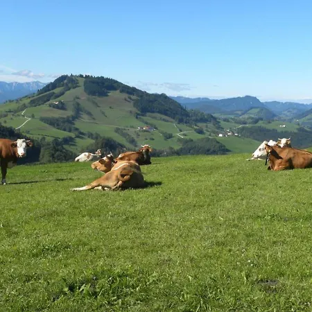 Apartamento Mitterhirschberg, Familie Schweighuber *