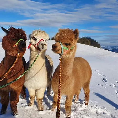 Mitterhirschberg, Familie Schweighuber