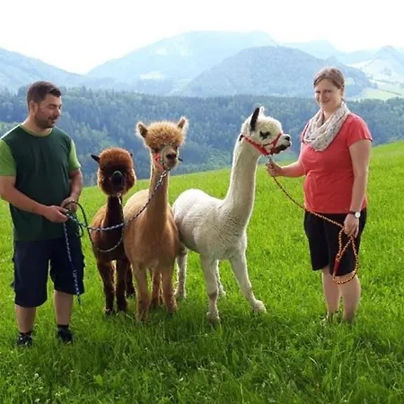 شقة Mitterhirschberg, Familie Schweighuber وایدهوفن آن در یبس