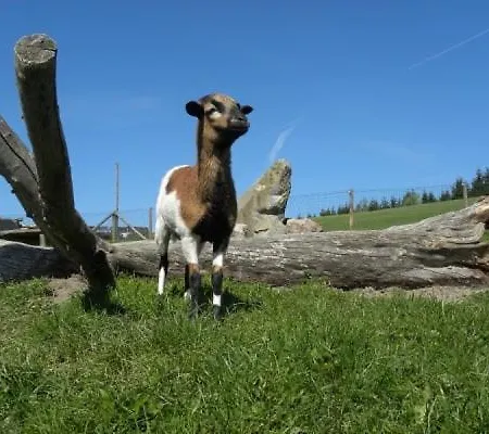 Mitterhirschberg, Familie Schweighuber Appartement *