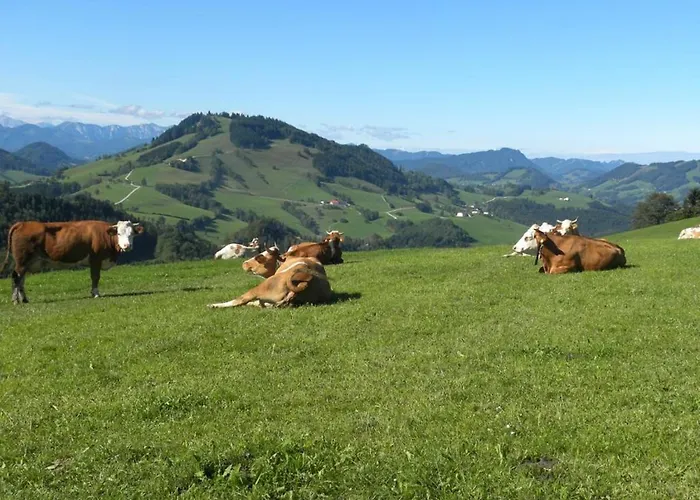 Apartamento Mitterhirschberg, Familie Schweighuber *