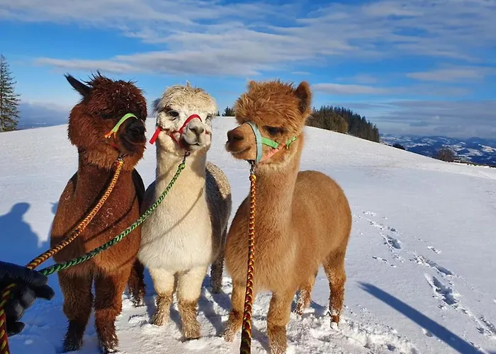 Mitterhirschberg, Familie Schweighuber