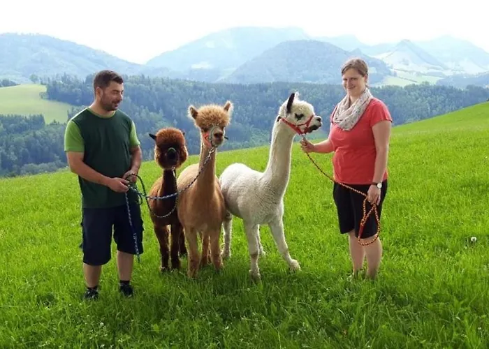 Apartamento Mitterhirschberg, Familie Schweighuber Waidhofen an der Ybbs