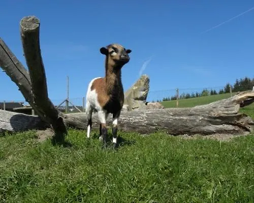 Mitterhirschberg, Familie Schweighuber Apartment *